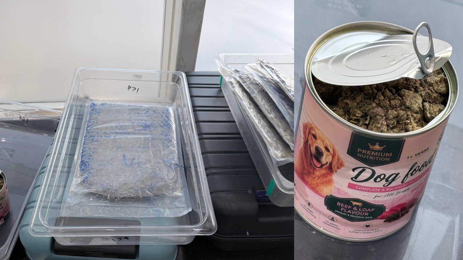 ₹1.85 Crore Worth of Ganja Seized at Bhubaneswar Airport, 4 Bangkok Passengers Held