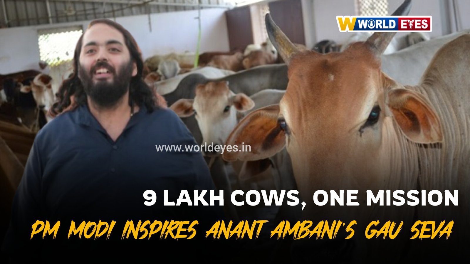 Anant Ambani Reveals His Mission to Protect 9 Lakh Cows, Says PM Modi Inspires His Gau Seva